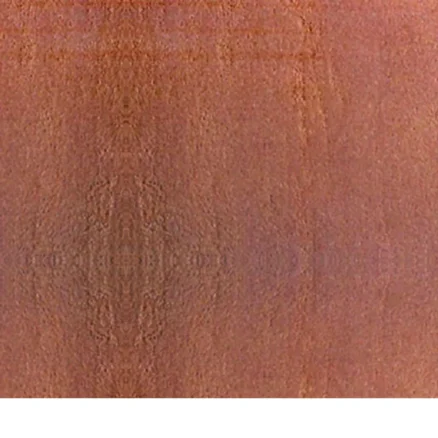 DHOLPUR PINK SAND BLAST