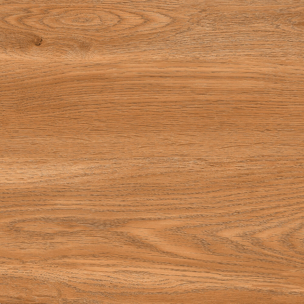 Elegant Brown