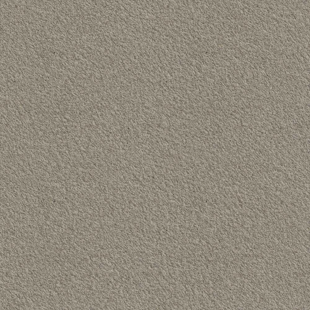 Gritty Bronzite